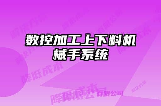 數(shù)控加工上下料機械手系統(tǒng)