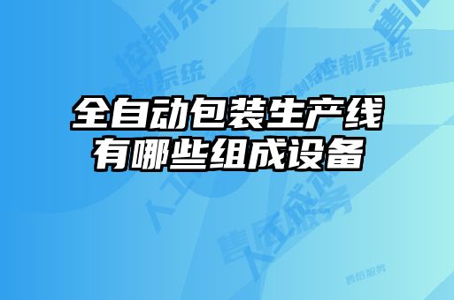 全自動包裝生產(chǎn)線有哪些組成設備
