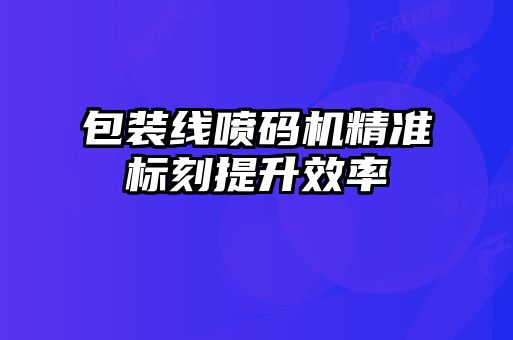 包裝線噴碼機精準(zhǔn)標(biāo)刻提升效率