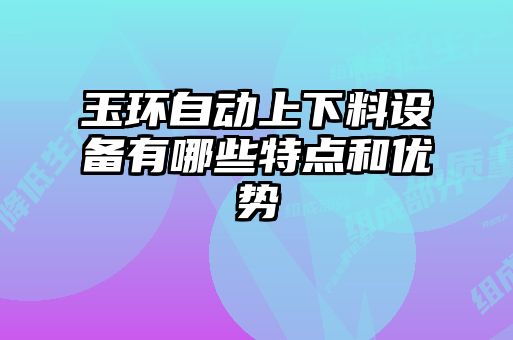 玉環(huán)自動上下料設(shè)備有哪些特點和優(yōu)勢