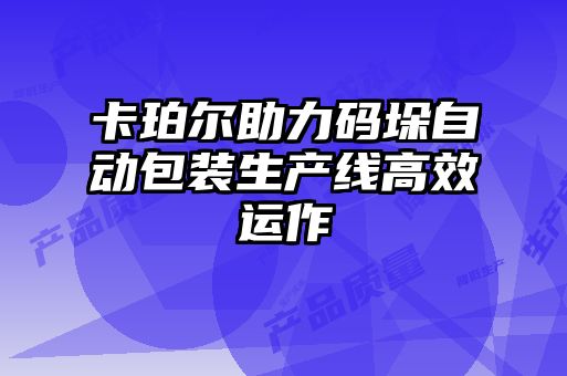 卡珀爾助力碼垛自動包裝生產線高效運作