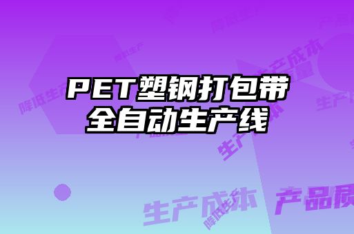 PET塑鋼打包帶全自動(dòng)生產(chǎn)線(xiàn)
