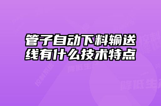 管子自動下料輸送線有什么技術(shù)特點(diǎn)