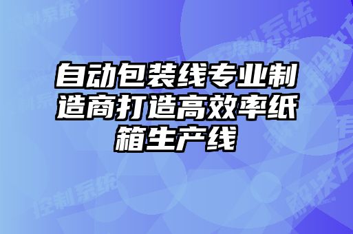 自動(dòng)包裝線專業(yè)制造商打造高效率紙箱生產(chǎn)線