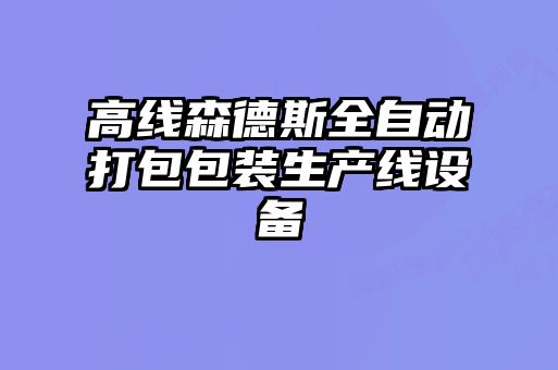 高線森德斯全自動打包包裝生產(chǎn)線設備